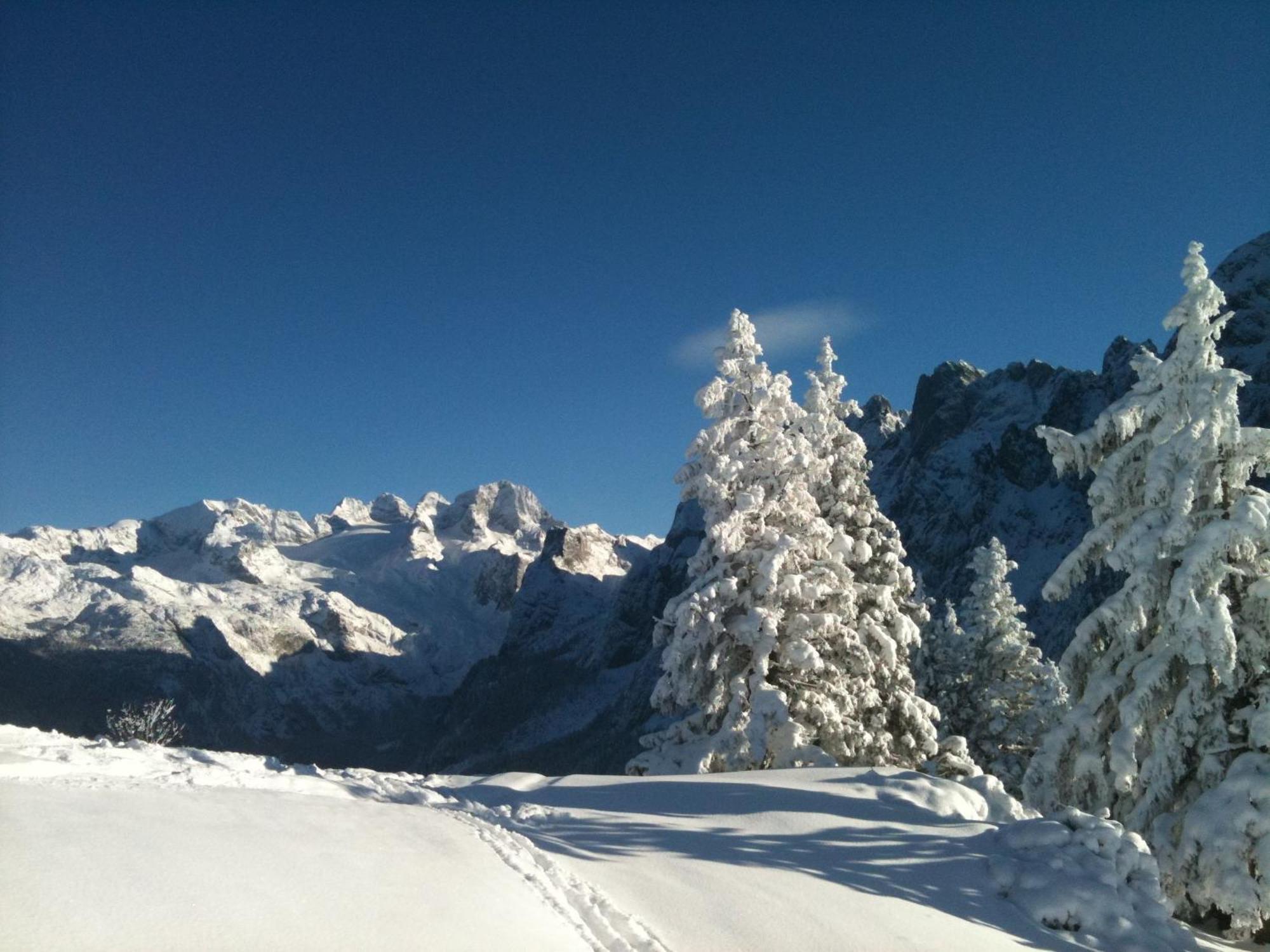 Sunseitn Apartments Gosau Exterior foto